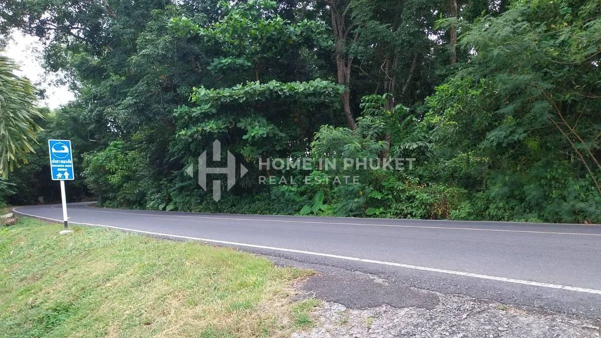  قطعة أرض في Rawai, Thailand رقم 62181