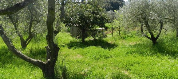 Terreno en Rosignano Marittimo, Italy 30 m² No. 48410 3