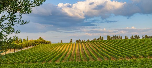 5 bedrooms Villa in Cetona, Italy No. 58740 10