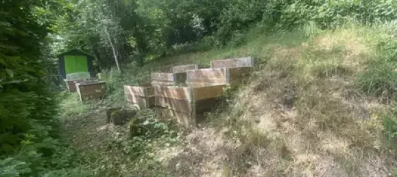 Adosado de 6 habitaciónes en Siegen-Wittgenstein, Germany No. 184450 14