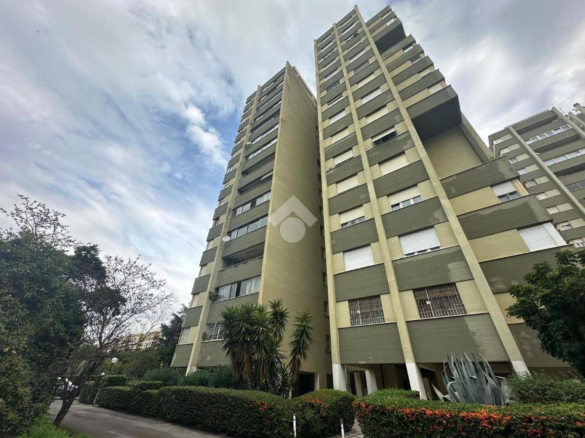 3 chambres Appartement à Rome, Italy No. 267834