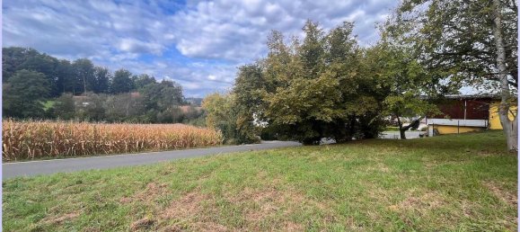 Земельный участок в Фельдбах, Австрия № 66483 8