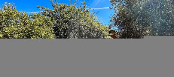 Casa T2 em Tomar, Portugal N.º 28955 20