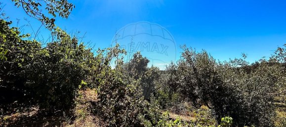 Casa T2 em Tomar, Portugal N.º 28955 15