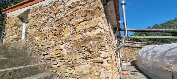 4 Schlafzimmer Haus in Mortagua, Portugal, Nr. 168926 18