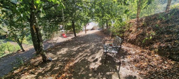 4 Schlafzimmer Haus in Mortagua, Portugal, Nr. 168926 2