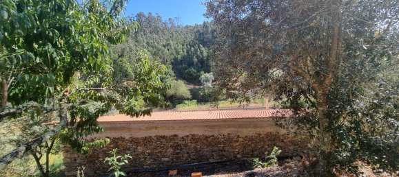 4 Schlafzimmer Haus in Mortagua, Portugal, Nr. 168926 14