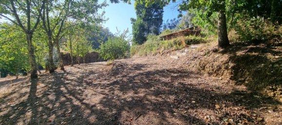 4 Schlafzimmer Haus in Mortagua, Portugal, Nr. 168926 11