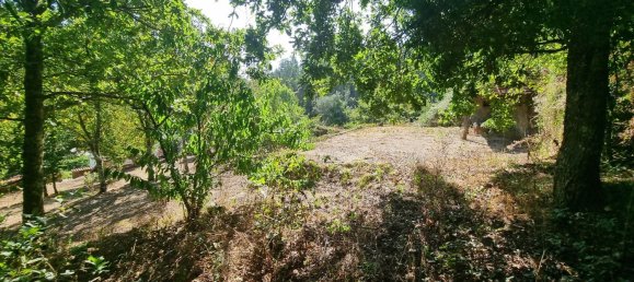 4 Schlafzimmer Haus in Mortagua, Portugal, Nr. 168926 8