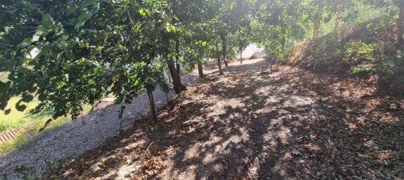 4 Schlafzimmer Haus in Mortagua, Portugal, Nr. 168926 3