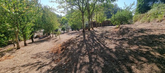 4 Schlafzimmer Haus in Mortagua, Portugal, Nr. 168926 12