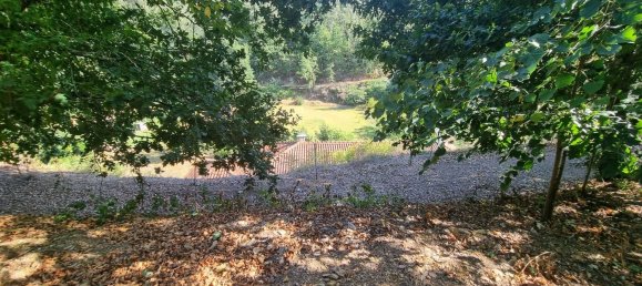 4 Schlafzimmer Haus in Mortagua, Portugal, Nr. 168926 4