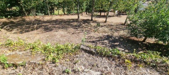 4 Schlafzimmer Haus in Mortagua, Portugal, Nr. 168926 6