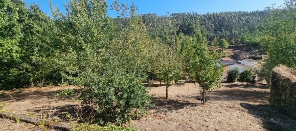 4 Schlafzimmer Haus in Mortagua, Portugal, Nr. 168926 7