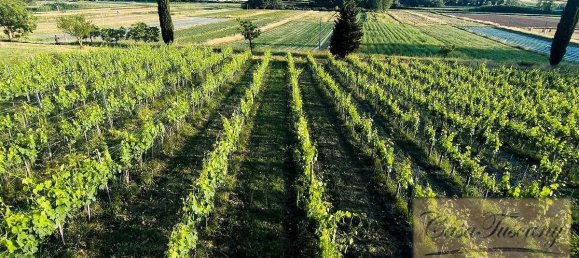 13 bedrooms Farm in San Miniato, Italy No. 135 3