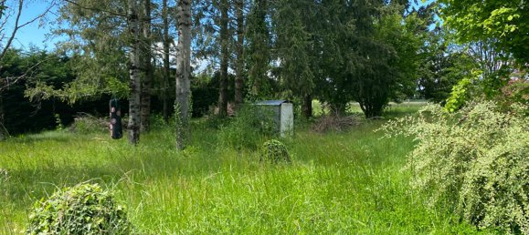 3 chambres Maison à Sassay, France No. 257176 16
