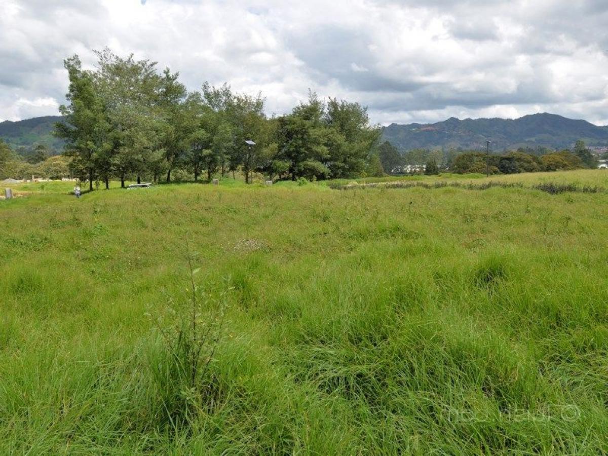  Land in Antioquia, Colombia No. 565
