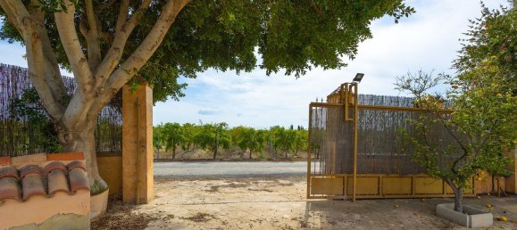 Casa T3 em Cox, Spain N.º 174846 32