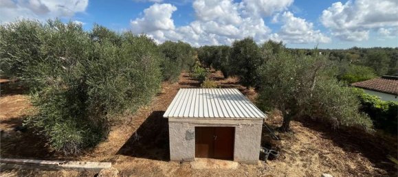 4 rooms Villa in Francavilla Fontana, Italy No. 306944 29