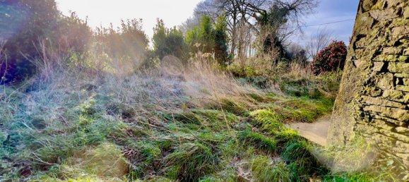 1 bedroom House in Leuhan, France No. 204747 12