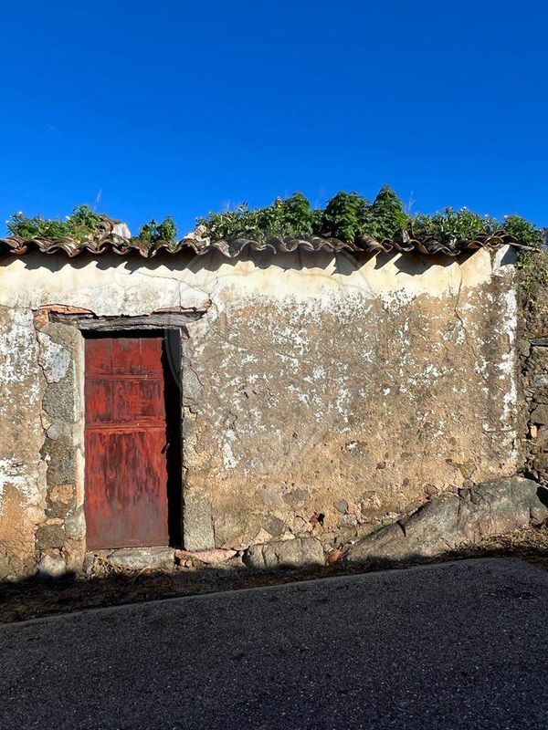 1 Schlafzimmer Haus in Nisa, Portugal, Nr. 16316