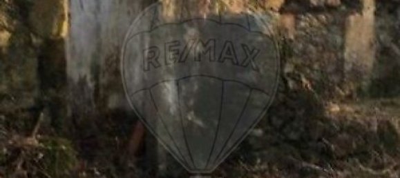 1 Schlafzimmer Haus in Nisa, Portugal, Nr. 16316 4