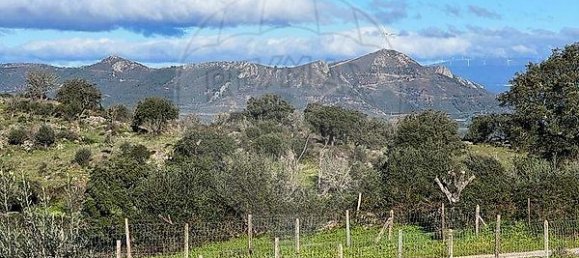 1 Schlafzimmer Haus in Nisa, Portugal, Nr. 16316 10