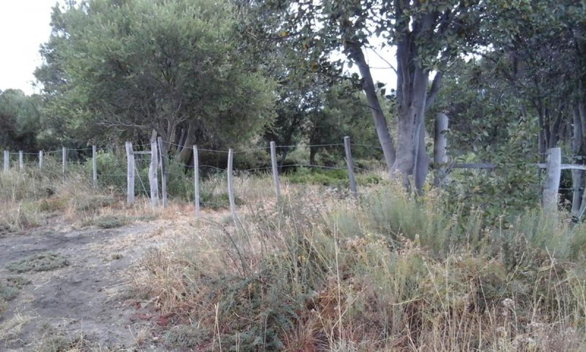 Grundstück in Neuquen, Argentina, Nr. 34027