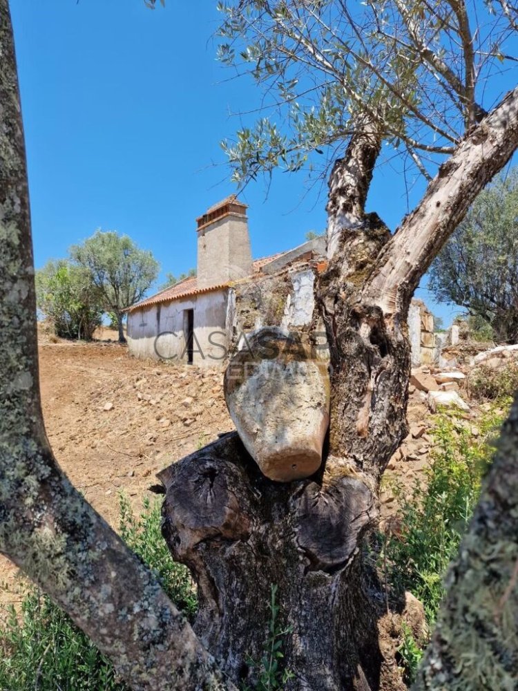 4 غرف نوم منزل في Quarteira, Portugal رقم 197287