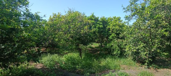  Land in Riposto, Italy No. 320608 7