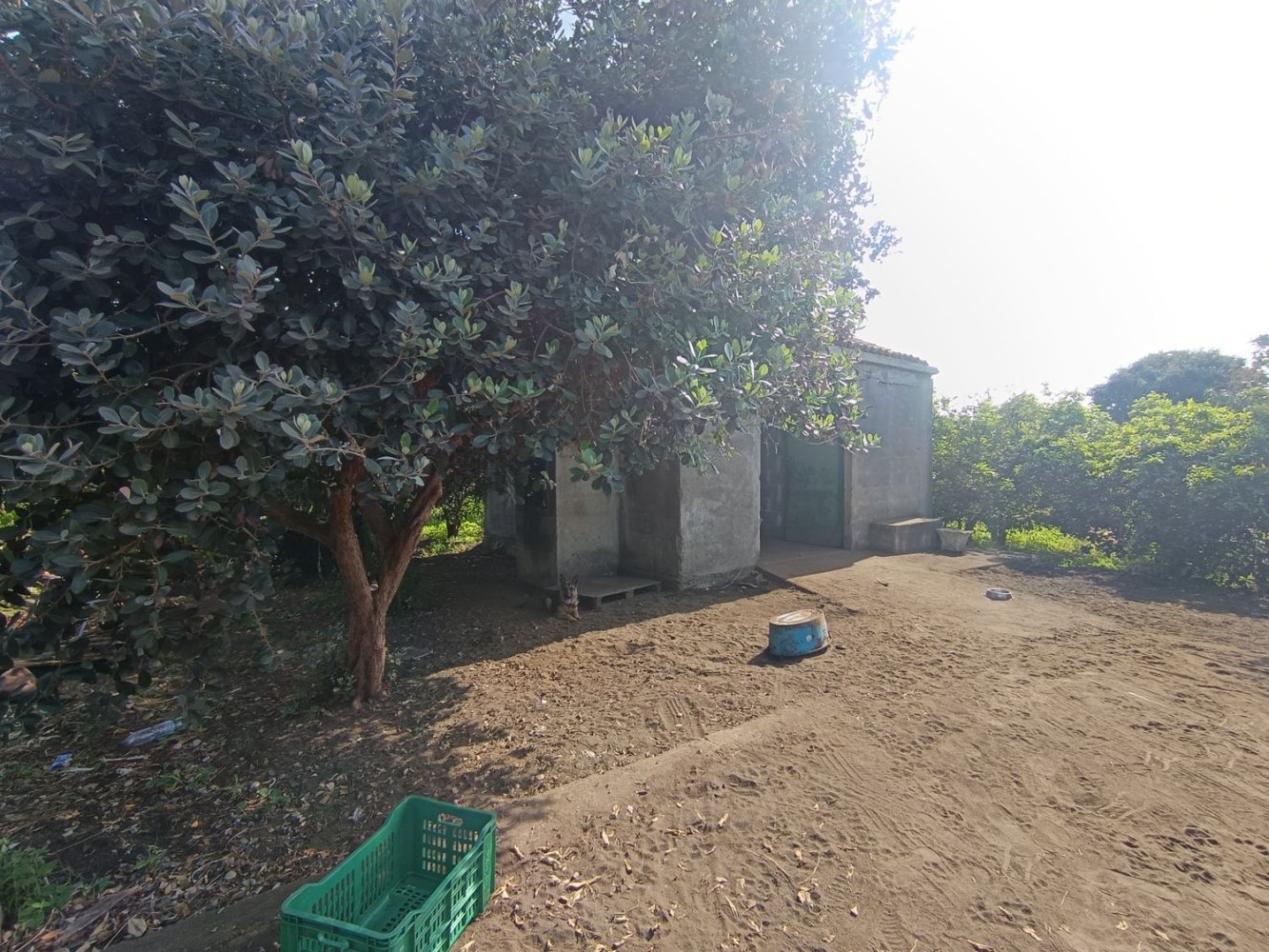  Land in Riposto, Italy No. 320608