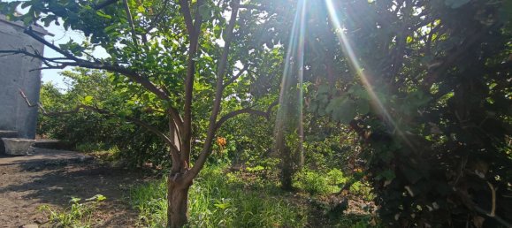  Land in Riposto, Italy No. 320608 4