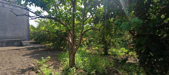  Land in Riposto, Italy No. 320608 6