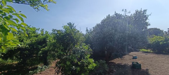  Land in Riposto, Italy No. 320608 9