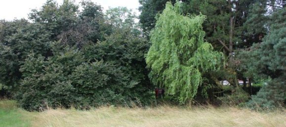 5غرفة منزل في Nordsachsen, Germany رقم 254301 14