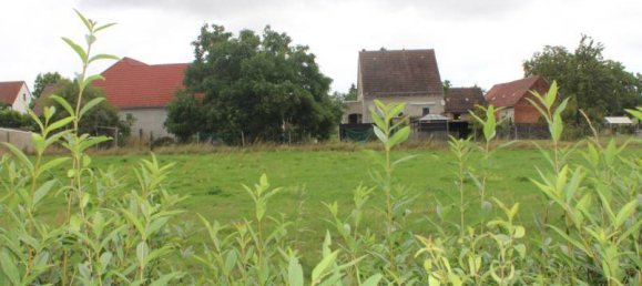 5غرفة منزل في Nordsachsen, Germany رقم 254301 17