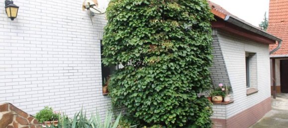 5غرفة منزل في Nordsachsen, Germany رقم 254301 4