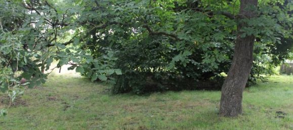 5غرفة منزل في Nordsachsen, Germany رقم 254301 16