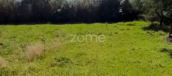  قطعة أرض في Campo Maior, Portugal رقم 86161 37