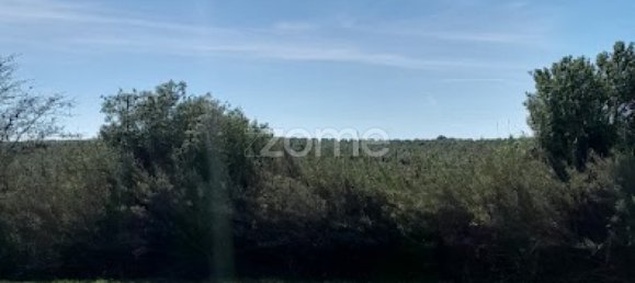  قطعة أرض في Campo Maior, Portugal رقم 86161 22