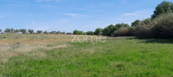  قطعة أرض في Campo Maior, Portugal رقم 86161 42