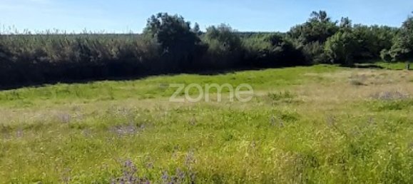  قطعة أرض في Campo Maior, Portugal رقم 86161 14