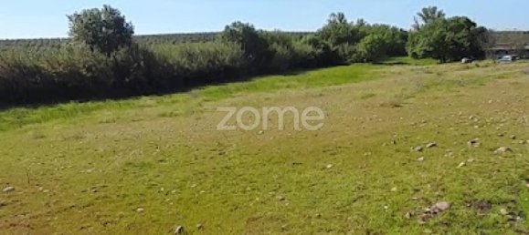  قطعة أرض في Campo Maior, Portugal رقم 86161 29