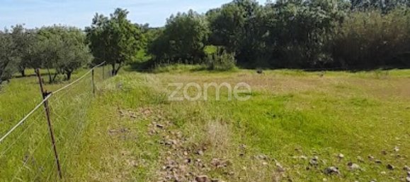  قطعة أرض في Campo Maior, Portugal رقم 86161 28