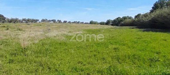  قطعة أرض في Campo Maior, Portugal رقم 86161 41