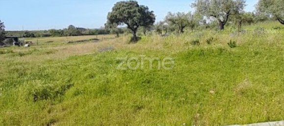  قطعة أرض في Campo Maior, Portugal رقم 86161 16