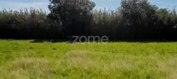  قطعة أرض في Campo Maior, Portugal رقم 86161 11