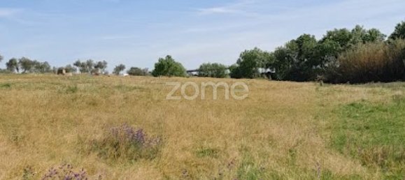  قطعة أرض في Campo Maior, Portugal رقم 86161 8