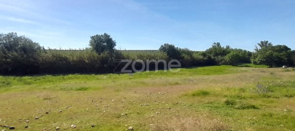  قطعة أرض في Campo Maior, Portugal رقم 86161 35