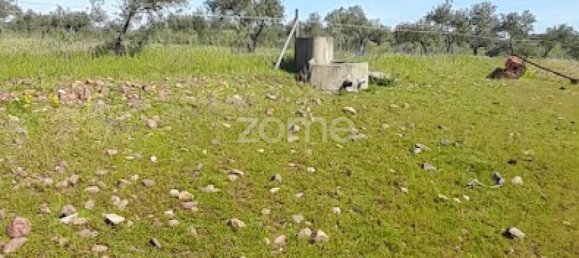  قطعة أرض في Campo Maior, Portugal رقم 86161 33